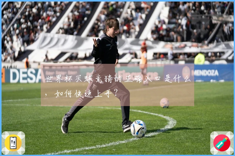 世界杯买球竞猜的正确入口是什么，如何快速上手？