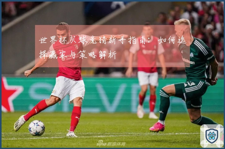 世界杯买球竞猜新手指南：如何选择赢家与策略解析