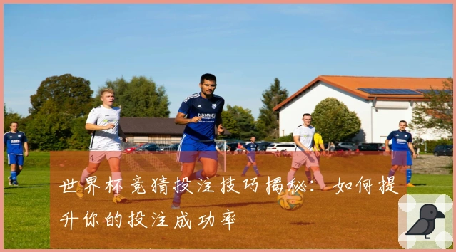 世界杯竞猜投注技巧揭秘：如何提升你的投注成功率