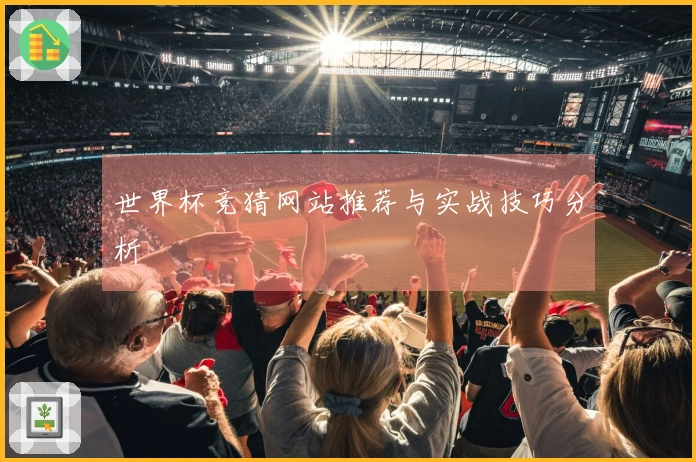 世界杯竞猜网站推荐与实战技巧分析