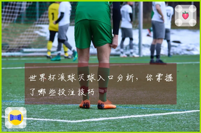 世界杯滚球买球入口分析，你掌握了哪些投注技巧