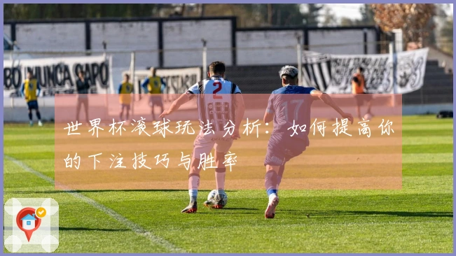 世界杯滚球玩法分析：如何提高你的下注技巧与胜率