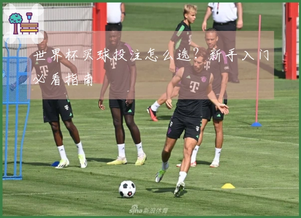 世界杯买球投注怎么选？新手入门必看指南