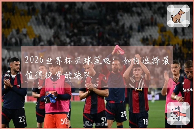 2026世界杯买球策略：如何选择最值得投资的球队