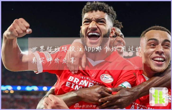 世界杯让球投注App哪个好 用过的真实评价分享
