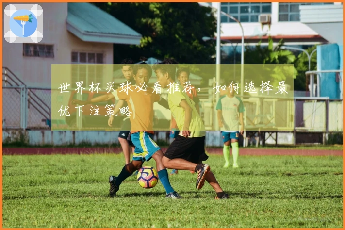 世界杯买球必看推荐，如何选择最优下注策略