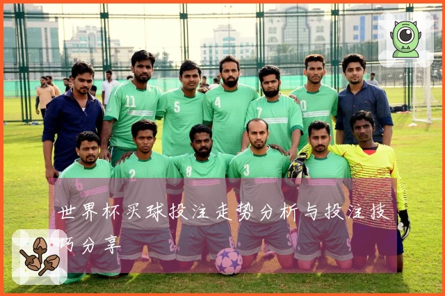 世界杯买球投注走势分析与投注技巧分享