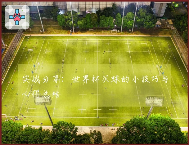 实战分享：世界杯买球的小技巧与心得总结