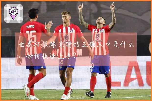 世界杯买球竞猜的正确入口是什么，如何快速上手？