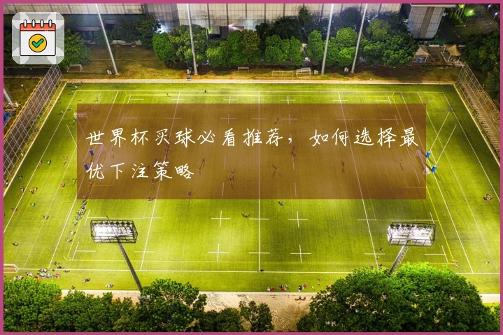 世界杯买球必看推荐，如何选择最优下注策略